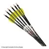 Wicked Ridge Crossbows Wicked Ridge XX75 Crossbow Arrows W/ Alpha-Nocks 2 Wicked Ridge Crossbows Wicked Ridge XX75 Crossbow Arrows W/ Alpha-Nocks -ARMGUARDS shop 2530291