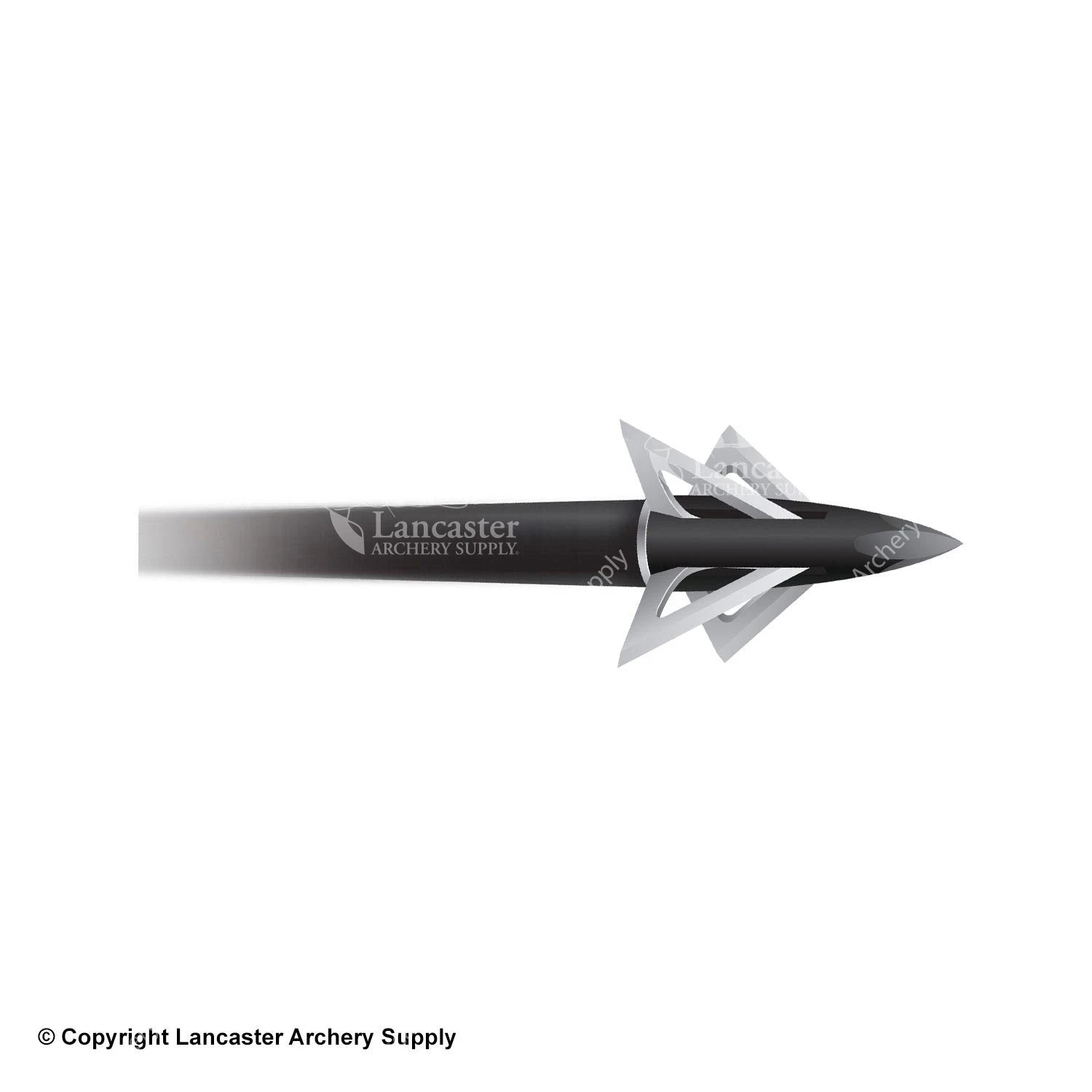 Slick Trick Grizz Trick 2 Broadheads (100 Gr.) 3 Slick Trick Grizz Trick 2 Broadheads (100 Gr.)