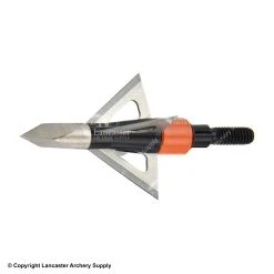 Wasp Dart Broadheads